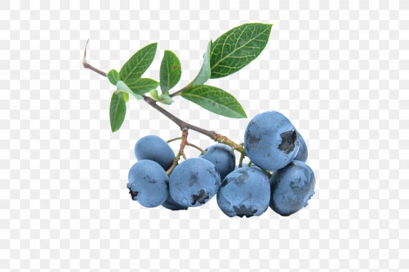 Ice Cream Muesli Bilberry European Blueberry, PNG, 960x640px, Ice Cream, Berry, Bilberry, Blue, Blueberry Download Free