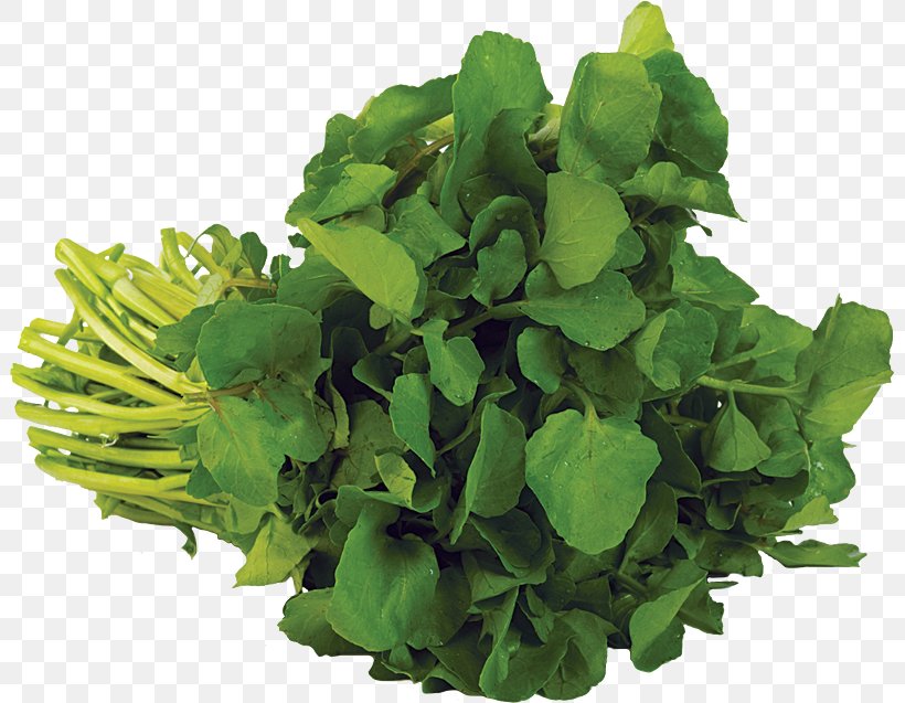 Organic Food Watercress Parsley Sunac Natural Market, PNG, 801x637px, Organic Food, Coriander, Delivery, Food, Garden Cress Download Free