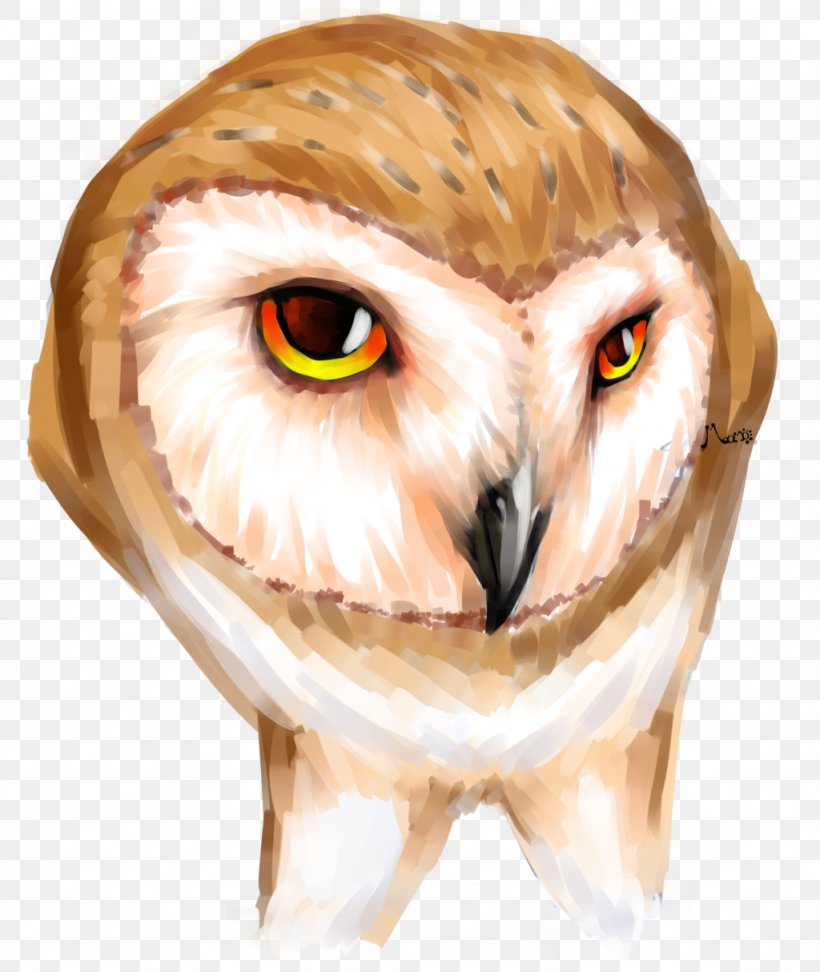 Owl Eye Beak Snout Close-up, PNG, 1024x1214px, Watercolor, Cartoon, Flower, Frame, Heart Download Free