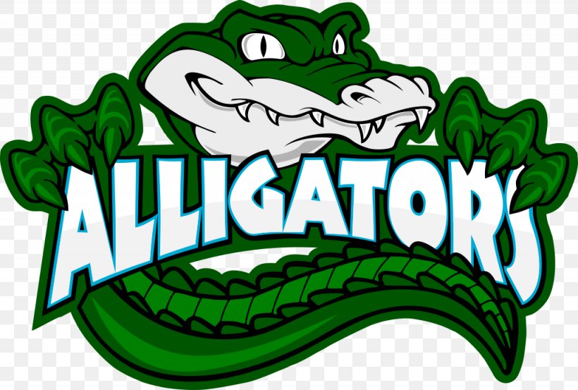 Alligators Rovigo ISLANDERS VENEZIA Logo, PNG, 1025x692px, Alligator, Alligators, American Football, Amphibian, Anabolic Steroid Download Free