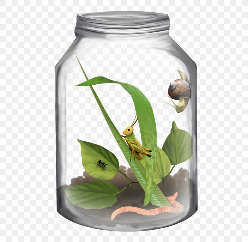 Bottle Jar Clip Art, PNG, 581x800px, Bottle, Flowerpot, Glass, Insect, Jar Download Free