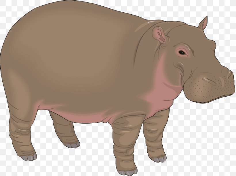 Hippopotamus Cartoon Clip Art, PNG, 900x674px, Hippopotamus, Blog, Cartoon, Cattle Like Mammal, Fauna Download Free