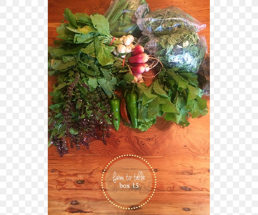 Leaf Vegetable Fruit, PNG, 686x686px, Leaf Vegetable, Food, Fruit, Plant, Vegetable Download Free