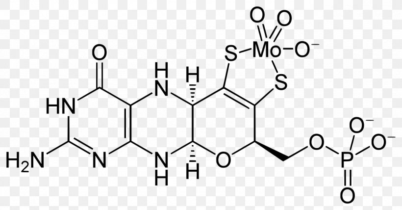 Molybdenum Cofactor Molybdopterin Enzyme, PNG, 1280x669px, Molybdenum Cofactor, Area, Auto Part, Black And White, Cofactor Download Free