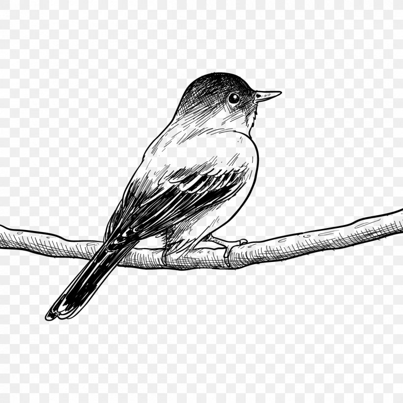 Bird Drawing Painting Poster Sketch, PNG, 1200x1200px, Bird, Art, Art Museum, Beak, Black And White Download Free