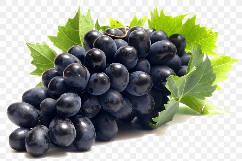 Common Grape Vine Clip Art Red Wine, PNG, 1000x667px, Common Grape Vine, Berry, Bilberry, Blueberry, Currant Download Free