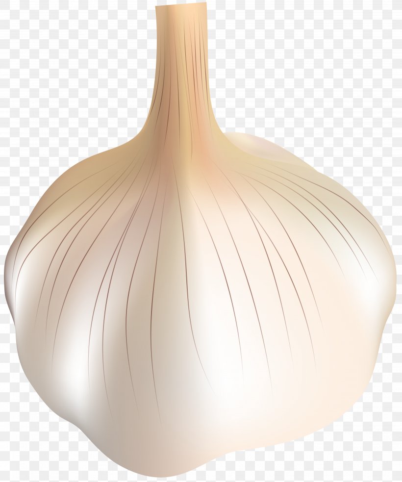 Garlic Transparent Clip Art, PNG, 4168x5000px, Watercolor, Cartoon, Flower, Frame, Heart Download Free