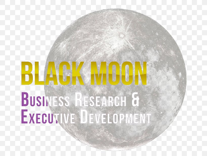 Management Business Limited Company Black Moon, PNG, 700x620px, Management, Black Moon, Business, Facilitator, Limited Company Download Free