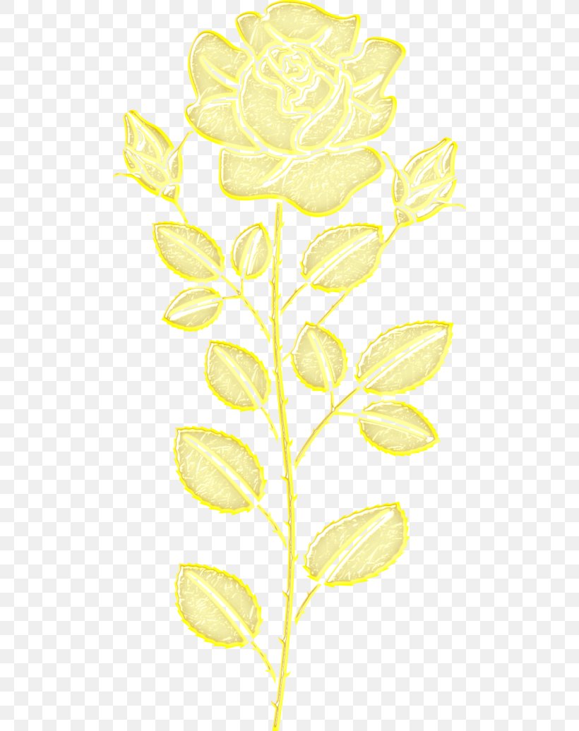 Petal Leaf Plant Stem Angle Font, PNG, 500x1036px, Petal, Branch, Commodity, Flower, Leaf Download Free