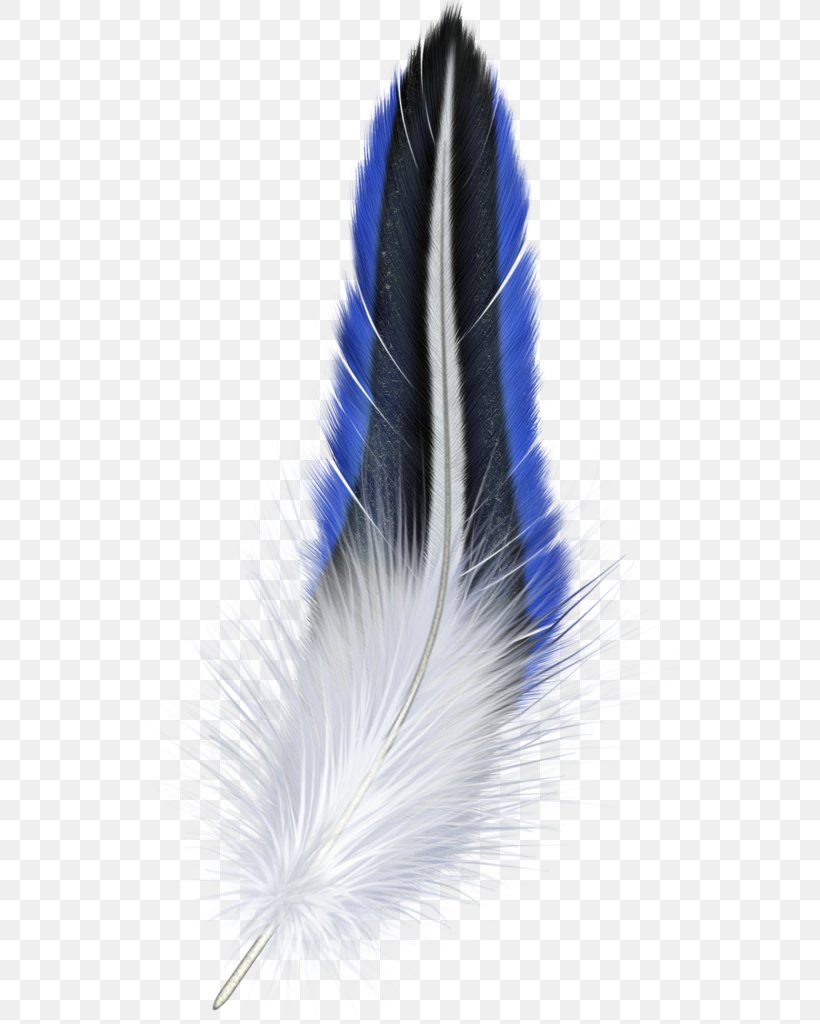 White Feather Bird Clip Art, PNG, 553x1024px, Feather, Bird, Blog, Creative Commons License, Feathered Hair Download Free
