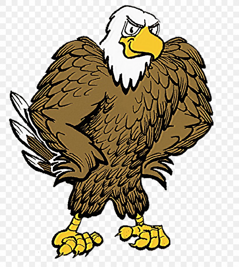 Bald Eagle Golden Eagle Clip Art, PNG, 1668x1868px, Bald Eagle, Animal Figure, Beak, Bird, Bird Of Prey Download Free