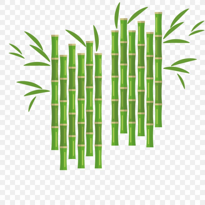 Euclidean Vector Flower Bamboo, PNG, 900x900px, Flower, Bamboe, Bamboo, Designer, Grass Download Free