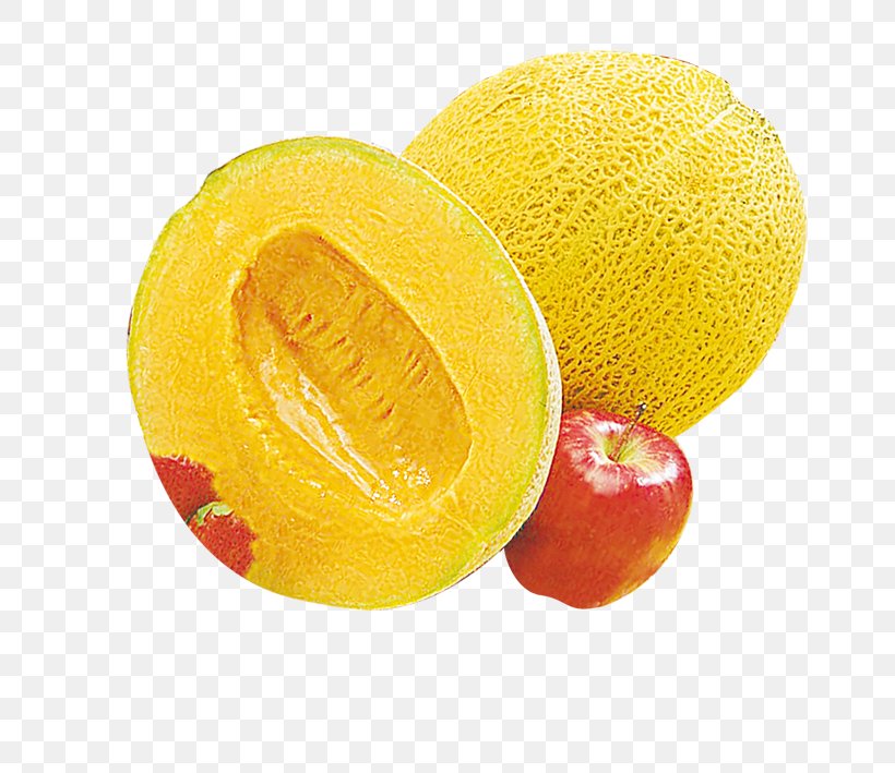 Lemon Orange Melon Cantaloupe, PNG, 709x709px, Lemon, Auglis, Canary Melon, Cantaloupe, Citric Acid Download Free