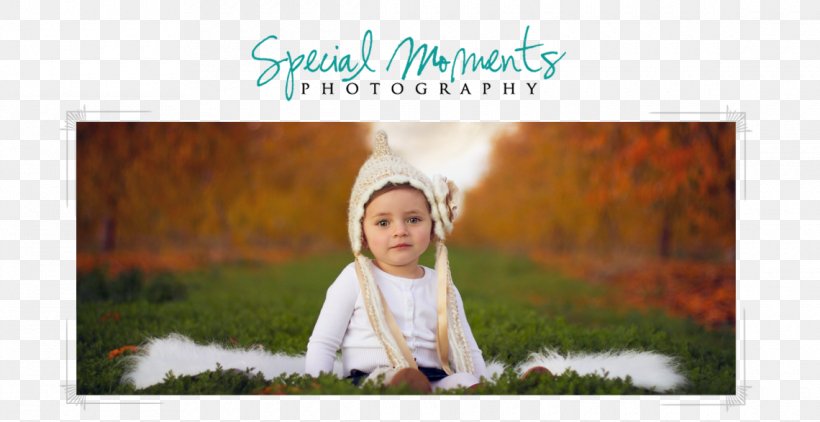 Picture Frames Toddler, PNG, 1140x588px, Picture Frames, Child, Happiness, Picture Frame, Toddler Download Free