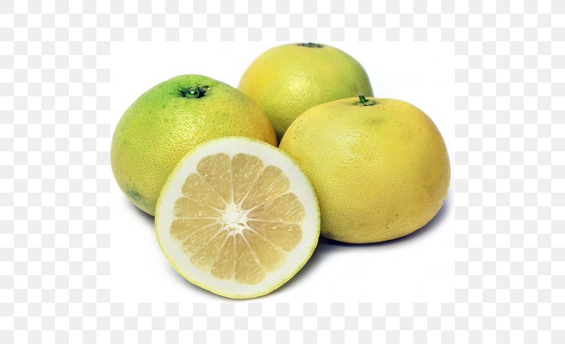 Grapefruit Lemon-lime Drink Key Lime Persian Lime, PNG, 500x500px, Grapefruit, Bitter Orange, Citric Acid, Citron, Citrus Download Free