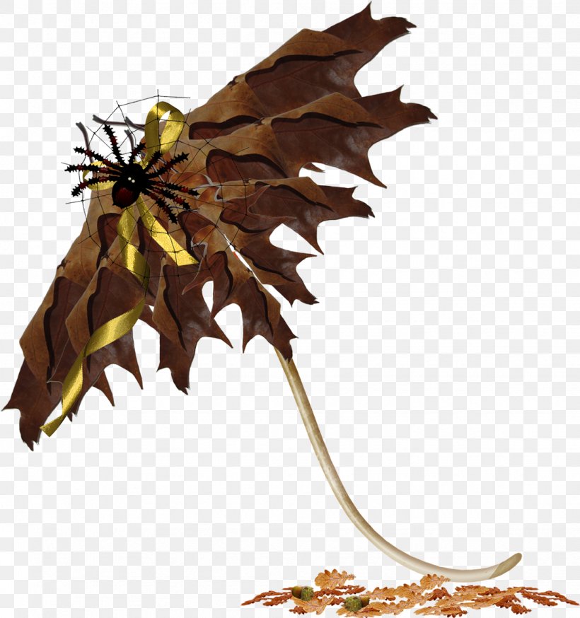 Root, PNG, 1125x1200px, Leaf, Autumn, Branch, Brown, Maple Leaf Download Free