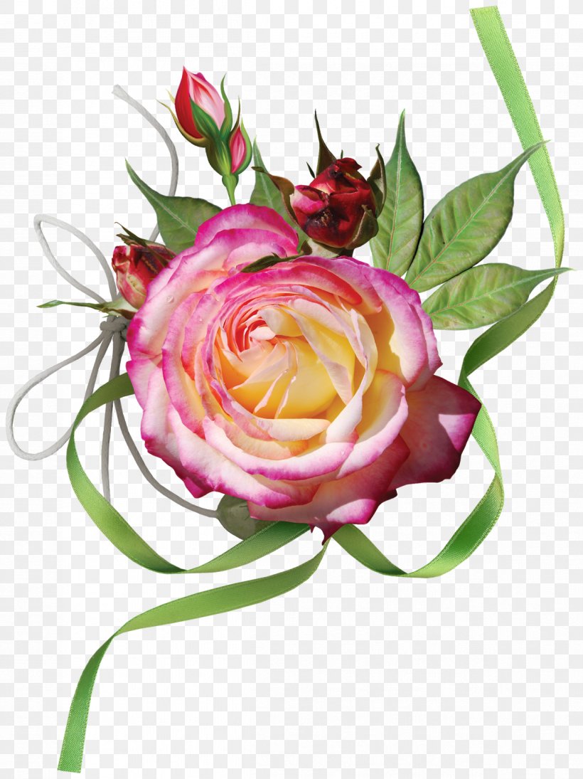 Pink Garden Roses, PNG, 1198x1600px, Pink, Artificial Flower, Cut Flowers, Floral Design, Floristry Download Free