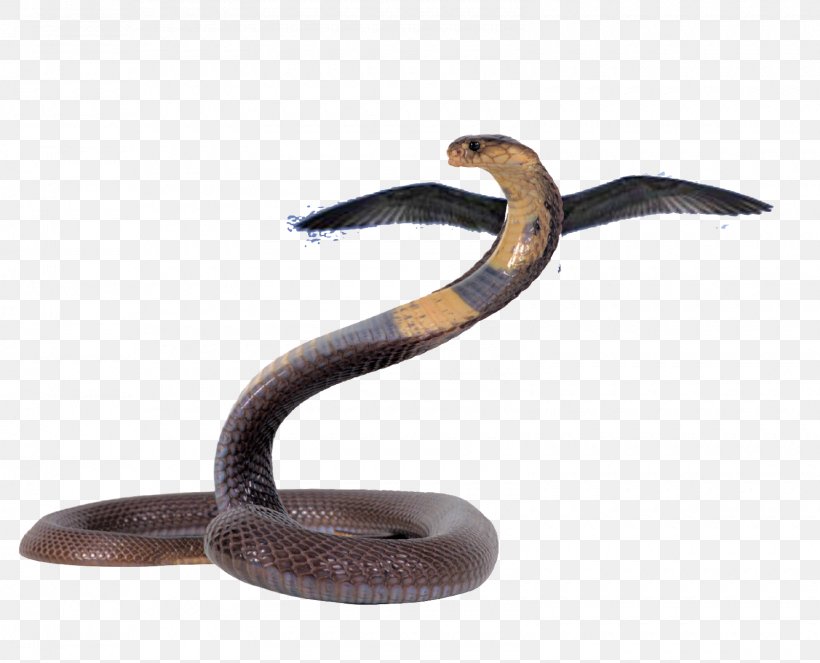 Snake Cartoon, PNG, 1600x1295px, Snakes, Anaconda, Animal, Brown Snake, Cobra Download Free