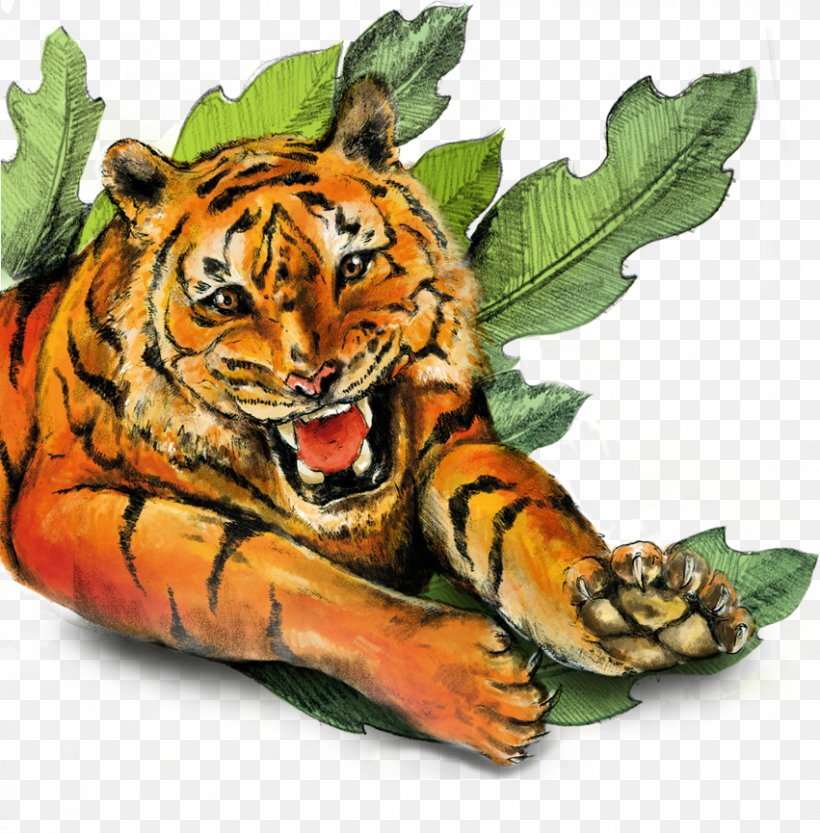 Tiger Cat Earth Wildlife Terrestrial Animal, PNG, 851x865px, Tiger, Animal, Big Cat, Big Cats, Carnivoran Download Free