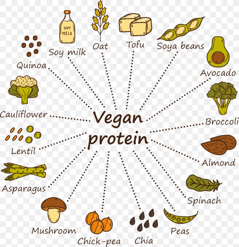 Vegetarian Cuisine Soy Milk Protein Veganism Vegetarianism, PNG, 989x1024px, Vegetarian Cuisine, Area, Diagram, Diet, Drawing Download Free
