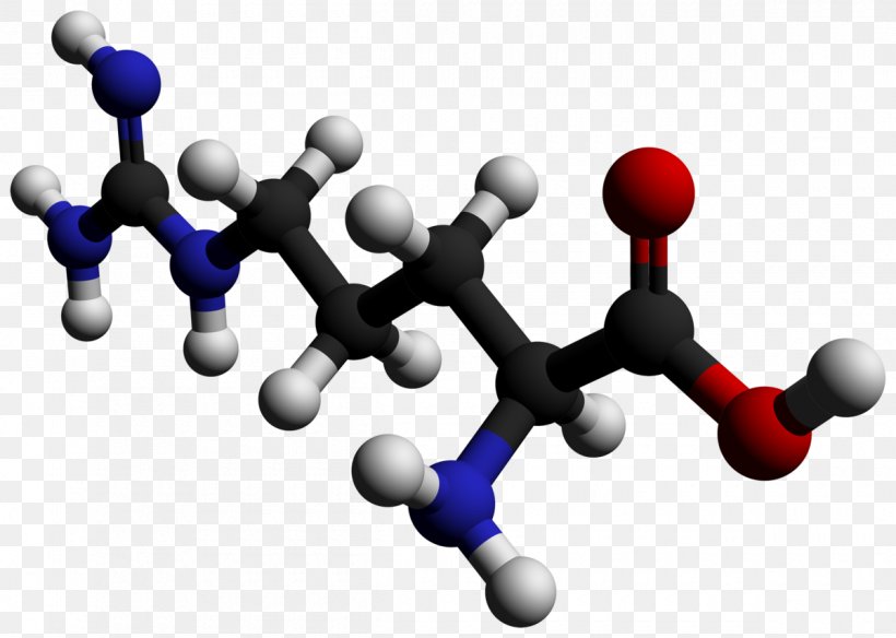 Asymmetric Dimethylarginine Essential Amino Acid, PNG, 1200x855px, Arginine, Abiogenesis, Acid, Amine, Amino Acid Download Free