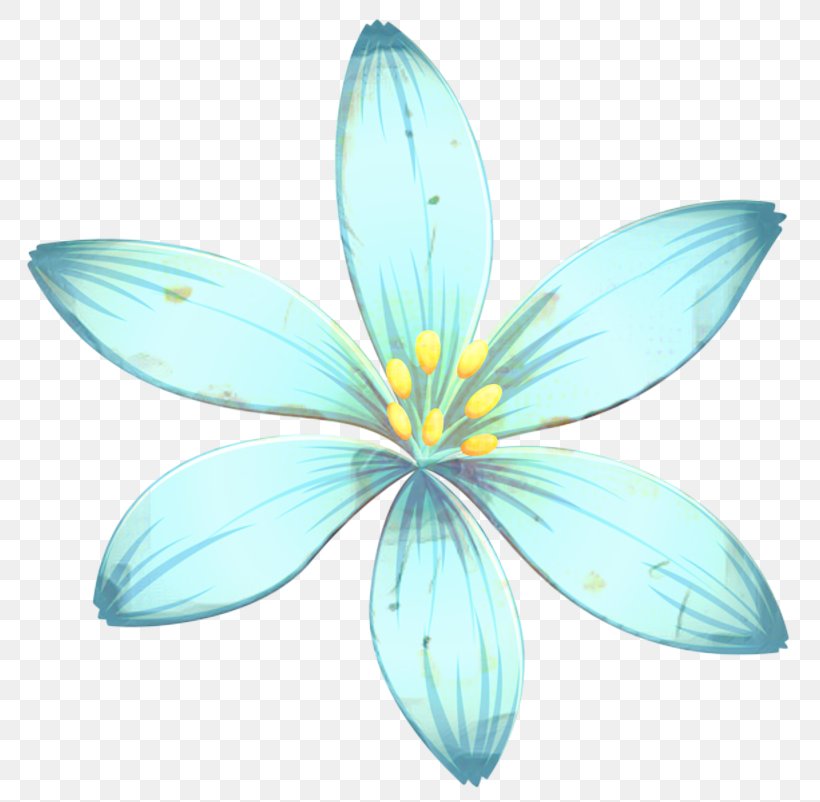 Butterfly Flower, PNG, 800x802px, M Butterfly, Aquatic Plant, Crocus, Flower, Leaf Download Free