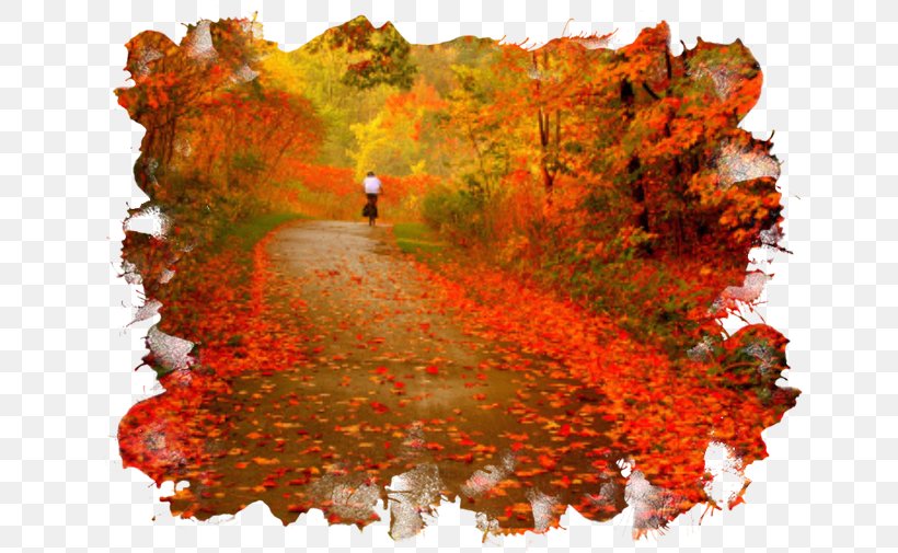 Golden Autumn Centerblog Season, PNG, 650x505px, Autumn, Blog, Centerblog, Geological Phenomenon, Golden Autumn Download Free