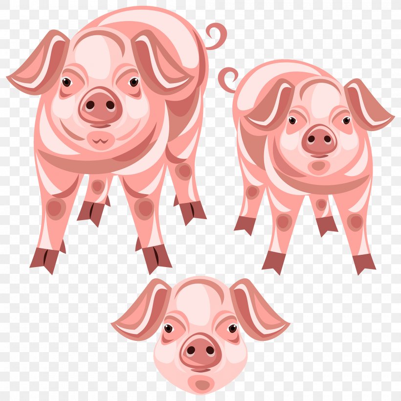 Pig Snout Clip Art, PNG, 2000x2000px, Pig, Livestock, Mammal, Nose, Peach Download Free