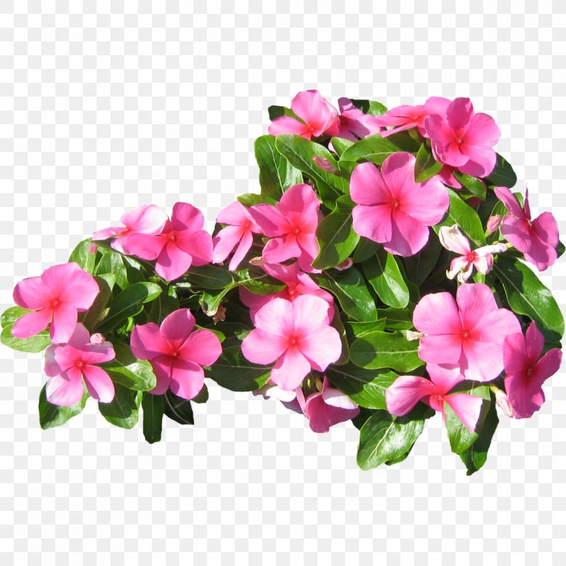 Pink Flowers Petal, PNG, 1141x1141px, 3d Computer Graphics, Flower, Annual Plant, Arcgis, Artificial Flower Download Free