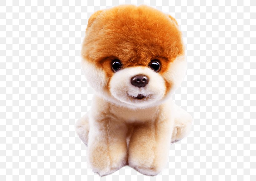 Pomeranian Stuffed Animals & Cuddly Toys German Spitz Puppy Boo, PNG, 773x580px, Pomeranian, Boo, Breed, Carnivoran, Companion Dog Download Free
