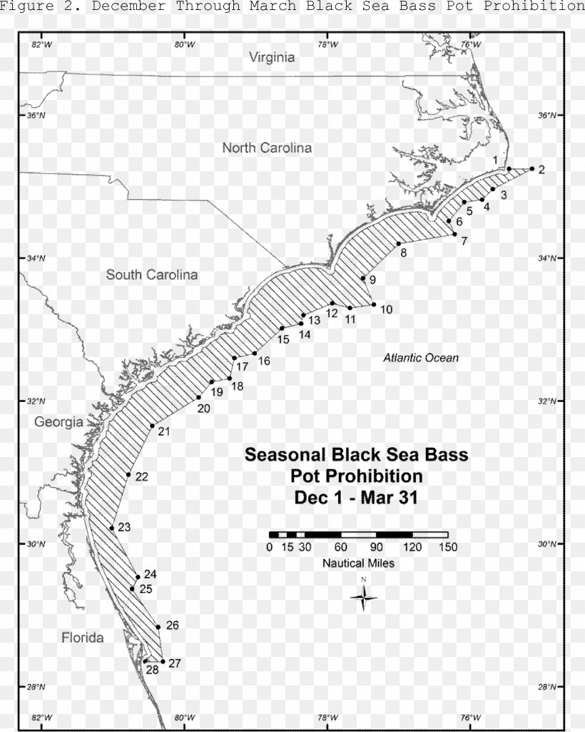 Fishing Black Sea Bass National Marine Fisheries Service, PNG, 1883x2356px, Fishing, Area, Bass, Black And White, Black Sea Bass Download Free