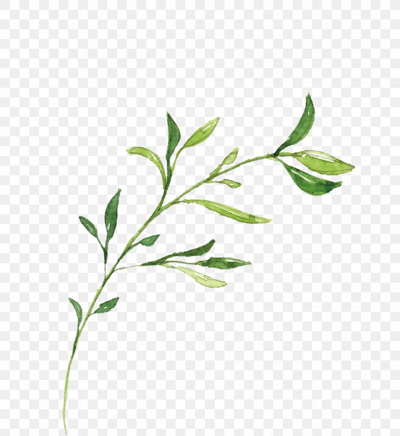 Hand-drawn Illustration Leaves, PNG, 1232x1345px, Leaf, Branch, Computer Software, Flower, Grass Download Free