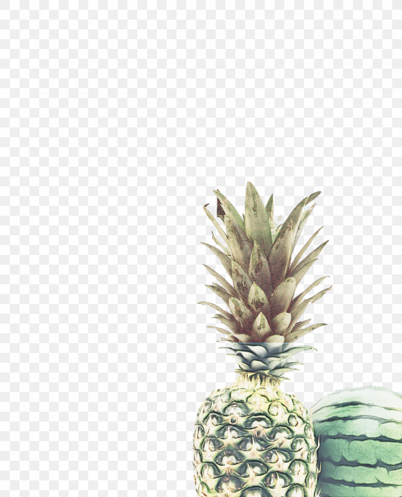 Pineapple, PNG, 1200x1485px, Pineapple, Exotic Fruit, Fruit, Health, Health Food Download Free