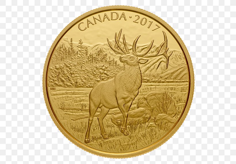Bullion Coin Gold Canada Royal Canadian Mint, PNG, 570x570px, Coin, Bullion Coin, Canada, Coin Collecting, Coin Set Download Free