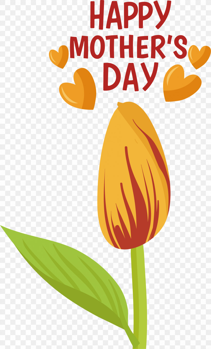 Plant Stem Cut Flowers Tulip Flower Petal, PNG, 1780x2941px, Plant Stem, Birthday, Cut Flowers, Flower, Happiness Download Free
