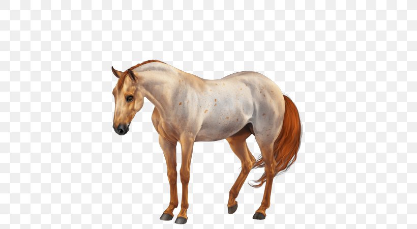 American Quarter Horse American Paint Horse Mane Stallion Mare, PNG, 600x450px, American Quarter Horse, American Paint Horse, Animal Figure, Bridle, Buckskin Download Free
