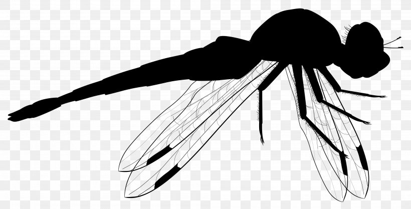 Clip Art Insect Product Design Line Art, PNG, 4000x2035px, Insect, Art, Black M, Blackandwhite, Fly Download Free