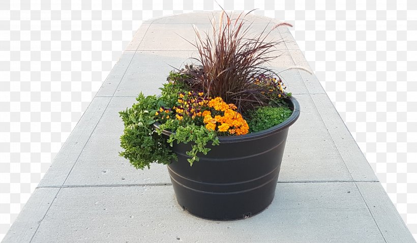 Flowerpot Houseplant Plastic, PNG, 2890x1688px, Flowerpot, City, Drawing, Flora, Flower Download Free