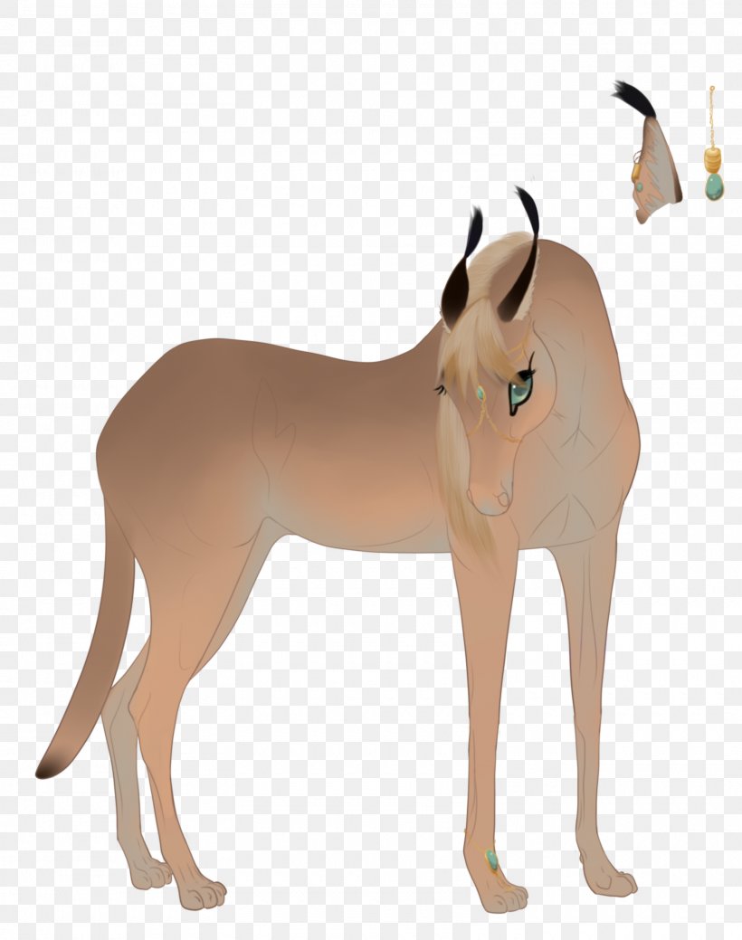 Mustang Donkey Pony Rein Dog, PNG, 1600x2028px, Mustang, Antelope, Canidae, Carnivoran, Dog Download Free