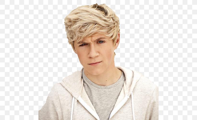 Niall Horan One Direction The X Factor Mullingar Up All Night, PNG, 500x500px, Watercolor, Cartoon, Flower, Frame, Heart Download Free