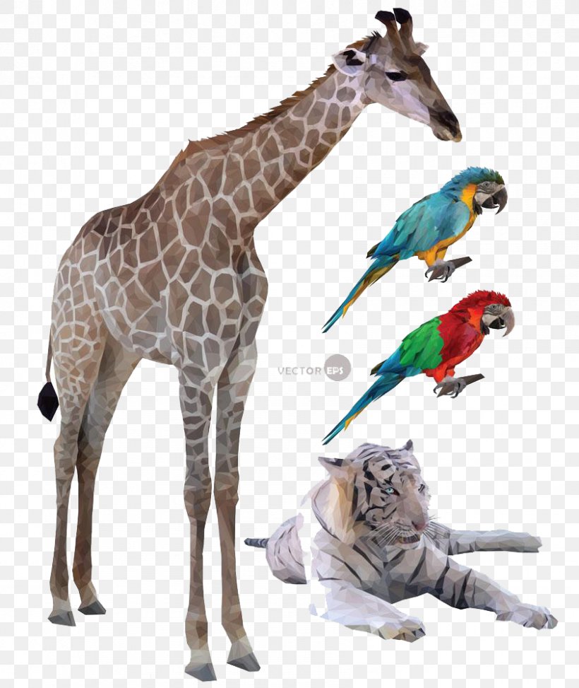 Origami Animals And Parrot HD Buckle Material, PNG, 842x1000px, Low Poly, Animal Figure, Computer Monitors, Fauna, Giraffe Download Free