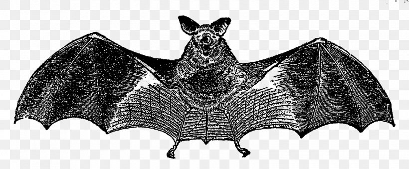 Bat Clip Art, PNG, 1600x662px, Bat, Animal Figure, Black And White, Fictional Character, Halloween Download Free