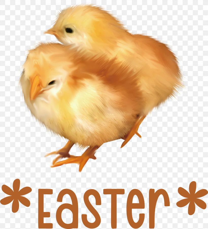 Easter Chicken Ducklings Easter Day Happy Easter, PNG, 2803x3088px, Easter Day, Bugs Bunny, Drawing, Easter Egg, Happy Easter Download Free