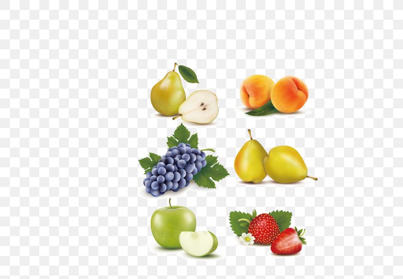 Illustration, PNG, 567x567px, Apple, Citrus, Diet Food, Food, Fruit Download Free