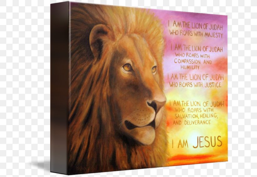 Lion Of Judah Bible Kingdom Of Judah Book Of Revelation, PNG, 650x566px, Lion, Bible, Big Cat, Big Cats, Book Of Revelation Download Free