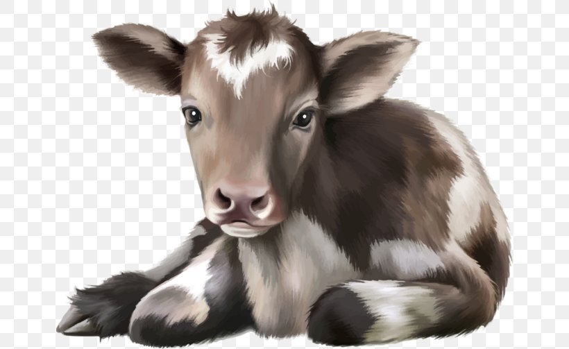 Cattle Calf Drawing Infant, PNG, 658x503px, Cattle, Agriculture, Calf, Cartoon, Cattle Like Mammal Download Free