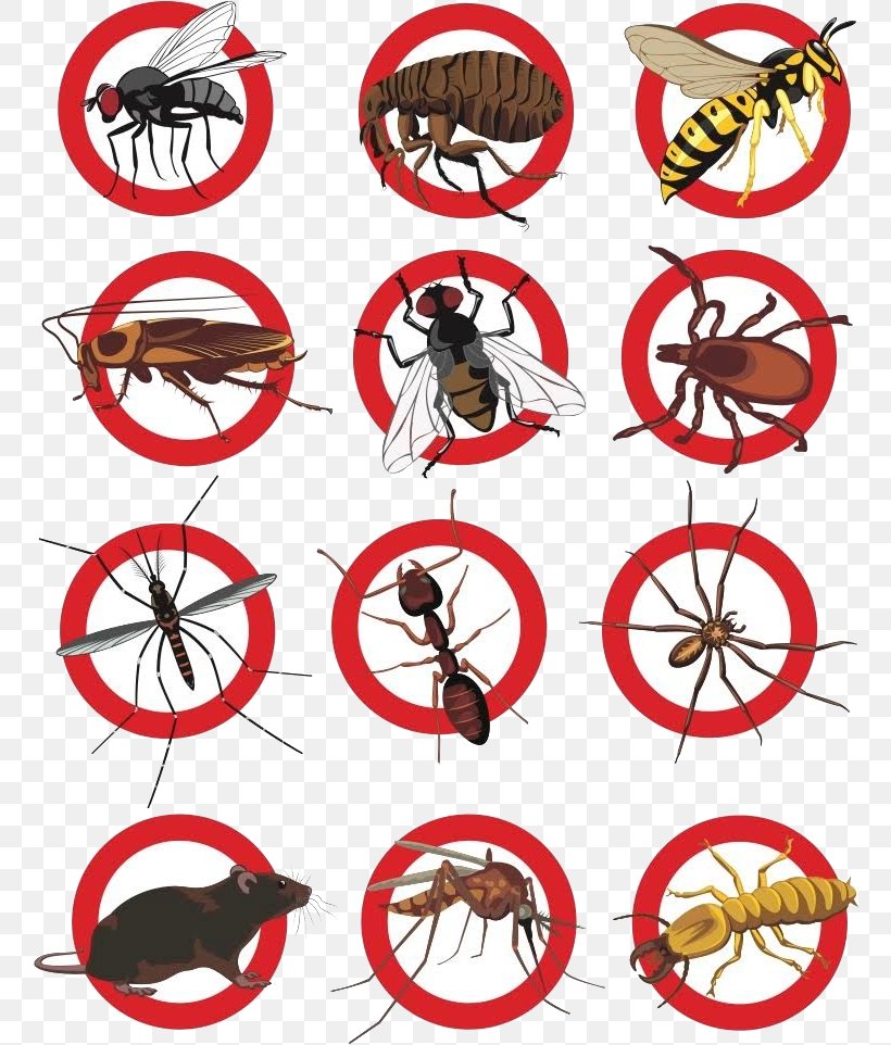 Cockroach Pest Control Rat Clip Art, PNG, 760x962px, Cockroach, Area, Artwork, Bicycle, Bicycle Accessory Download Free