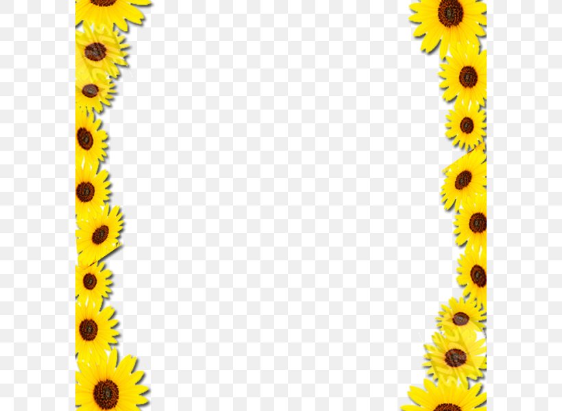 Common Sunflower Borders And Frames Picture Frames Clip Art, PNG ...