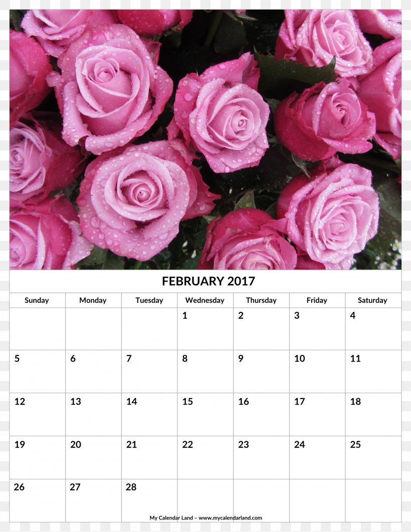 Garden Roses Desktop Wallpaper Flower Desktop Metaphor Wallpaper, PNG, 2550x3300px, Garden Roses, Calendar, Computer, Desktop Metaphor, Display Resolution Download Free