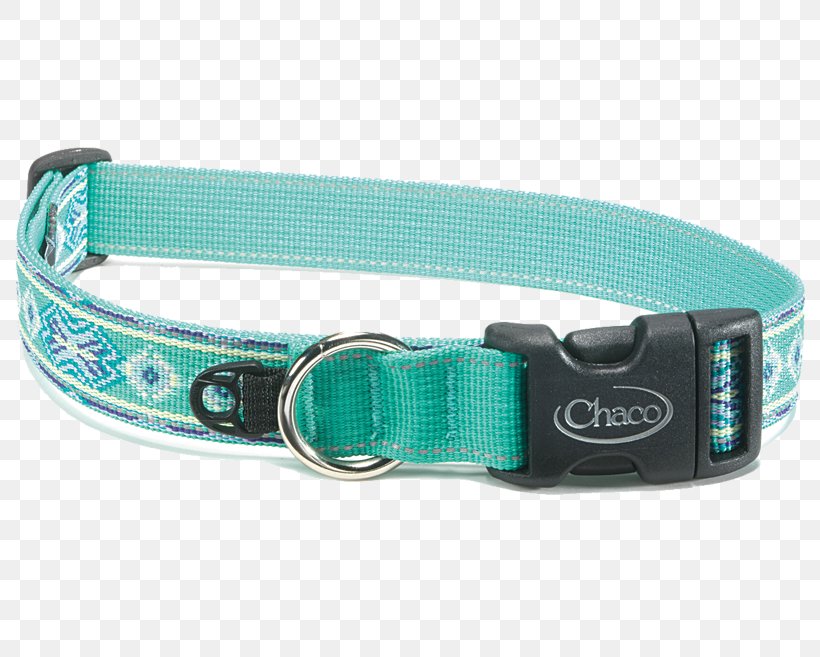 Leash Dog Collar Pet, PNG, 790x657px, Leash, Aqua, Camping, Campsite, Chaco Download Free